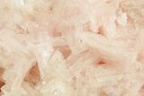 Pink Halite Crystal Cluster - Trona, California #347187-1
